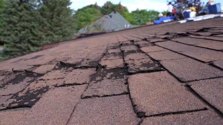 Best Wood Shake Roofing  in Tahoka, TX
